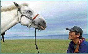 Cavalier mongol
